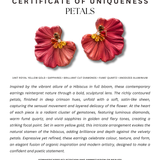 Petals