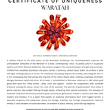 Waratah